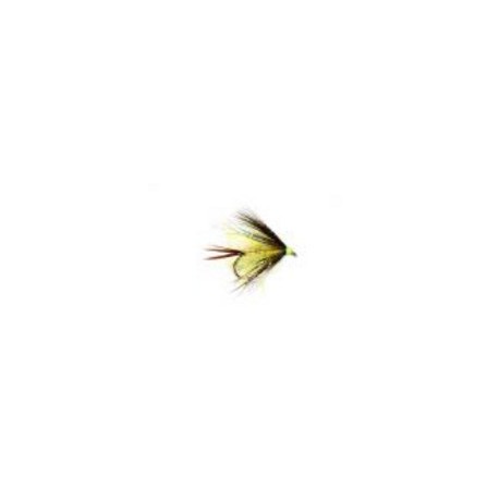 Straggler Sunburst Uv