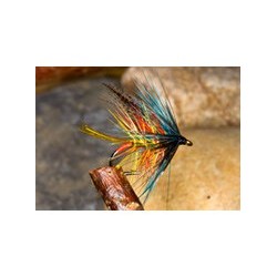 Telephone Fly
