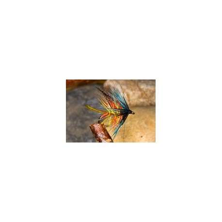 Telephone Fly