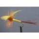 Yellow Drake