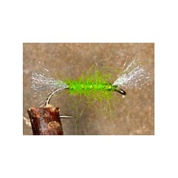 Apple Green Shipman Buzzer