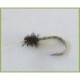 Brown Buzzer