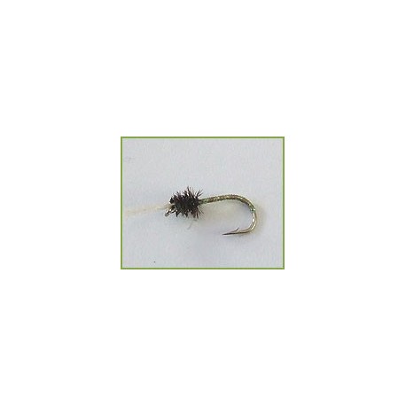Brown Buzzer