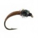 Brown Peacock Buzzer