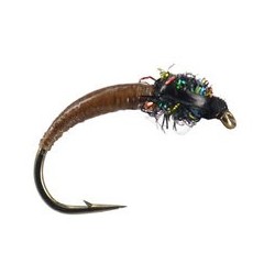 Brown Peacock Buzzer