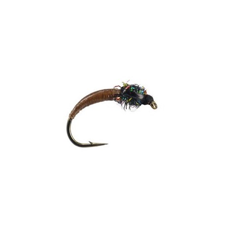 Brown Peacock Buzzer