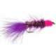 Egg Sucking Purple Leech Purple