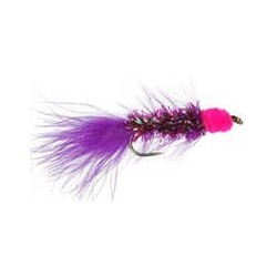 Egg Sucking Purple Leech Purple