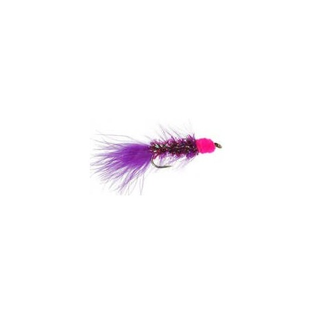 Egg Sucking Purple Leech Purple