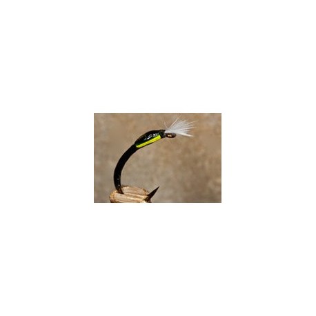 Buzzer Quill Black