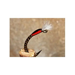 Buzzer Quill Natural