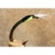 Buzzer Quill Olive