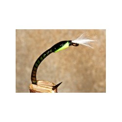 Buzzer Quill Olive