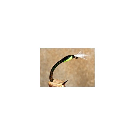 Buzzer Quill Olive