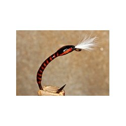 Buzzer Quill Orange