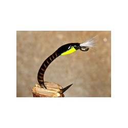 Buzzer Quill Yellow