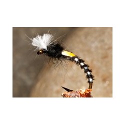 Buzzerpheasanttail