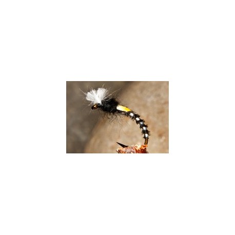 Buzzerpheasanttail