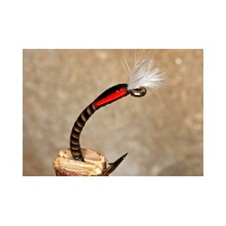 Buzzerquillnatural