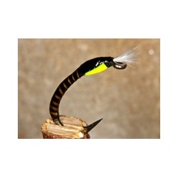 Buzzerquillyellow