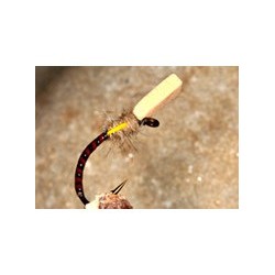 Claret Sugar Cube