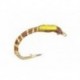 Epoxy Buzzer Brown (Yellow Cheeks)