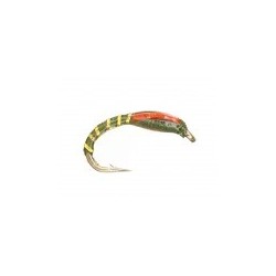 Epoxy Buzzer Olive (Orange Cheeks)