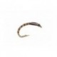 Epoxy Buzzer Brown White Cheeks