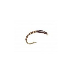 Epoxy Buzzer Brown White Cheeks