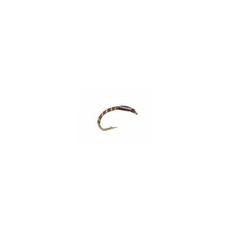 Epoxy Buzzer Brown White Cheeks
