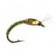 Ginos Olive Gold Holo Buzzer