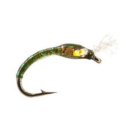 Ginos Olive Gold Holo Buzzer