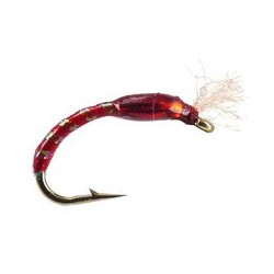 Ginos Red Gold Holo Buzzer