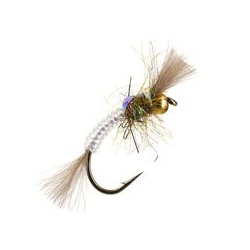 Hatching Buzzer White Shining