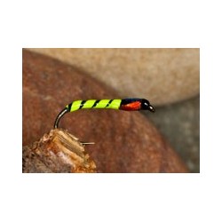 Hdbuzzhotyellow