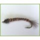 Midge Larva Rusty