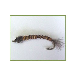 Midge Larva Rusty