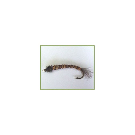 Midge Larva Rusty