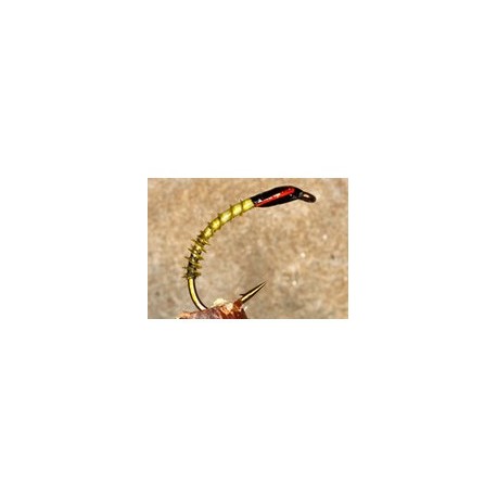 Olive Turkey Biot Buzzer