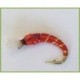 Orangee Poxy Buzzer Sparkling