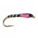 Pink Thorax Buzzer