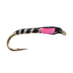 Pink Thorax Buzzer