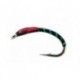 Red Cheek Pupae