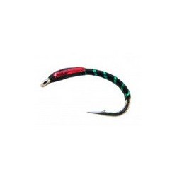 Red Cheek Pupae