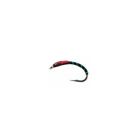 Red Cheek Pupae