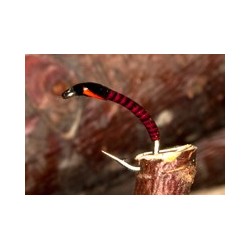 Redtlbuzzer