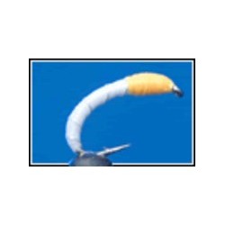 Scottish Canary