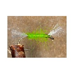Shipmansapplegreen
