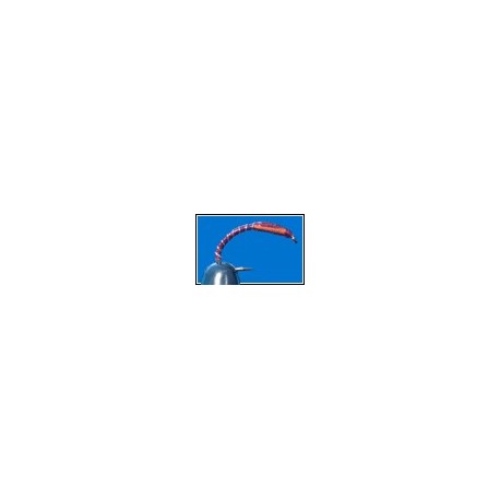 Superglue Buzzer Claret