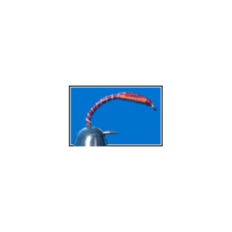 Superglue Buzzer Claret